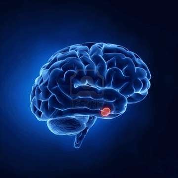 БОЛЕЗНИ ЭНДОКРИННОЙ СИСТЕМЫ ГИПОФИЗАРНАЯ КАРЛИКОВОСТЬ