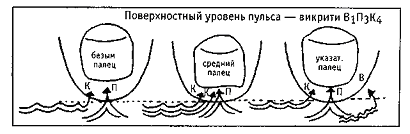 Семь уровней пульса Семь уровней пульса